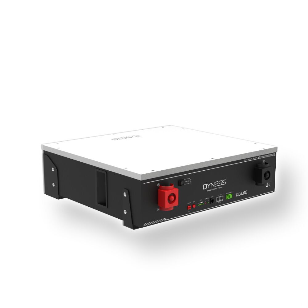 Dyness Dlc5.0c Lithiumbatterie Titelbild